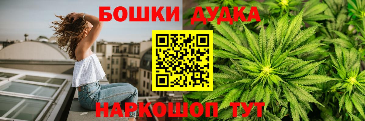 Бошки Шишки сатива  Вход с VPN  Новороссийск  Канабис сатива 